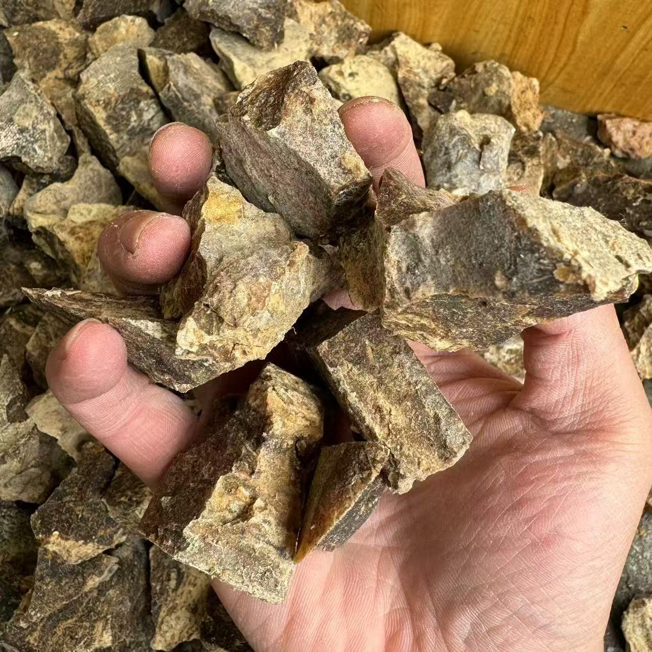 鱼饵泡酒打窝添加剂新疆臭阿魏50克包邮自制诱鱼剂窝料饵料产地