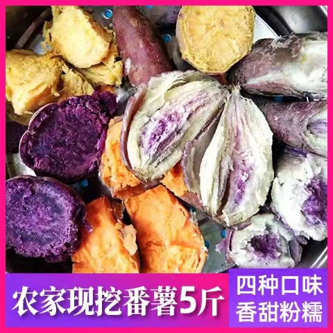 【5斤中大果】四种混合鸡蛋黄番薯西瓜红甜薯紫薯冰淇淋一点红薯