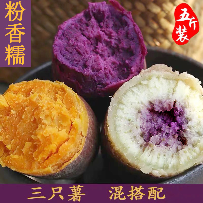 【5斤】新鲜紫薯一点红甜薯冰淇淋番薯地瓜山芋茂名现挖红薯板栗