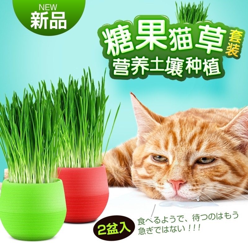 candy cat grass to hair ball to help digest cat snacks ca