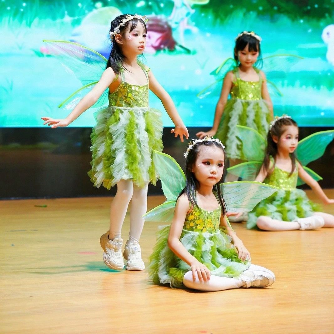 儿童童话梦想家表演服女童蓬蓬裙