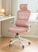 人体工学椅子女生电脑椅家用学习舒适久坐电竞椅学生宿舍靠背转椅
