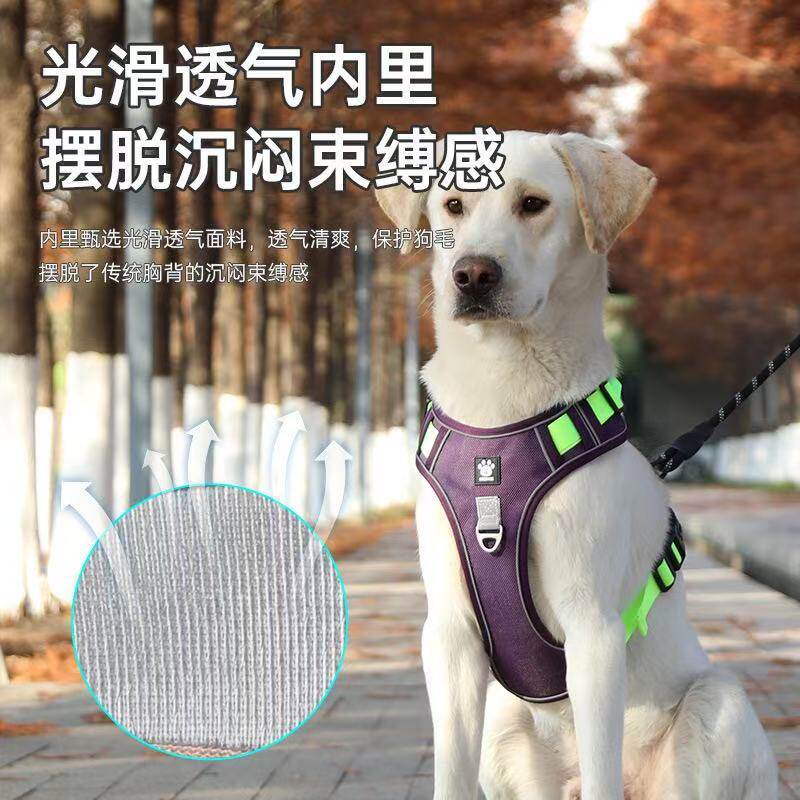 中大型犬牵引绳防爆冲狗背带胸背反光遛狗绳背心式大狗脖套拴狗绳