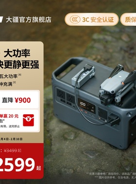 大疆【DJI Power 1000 V2】2600瓦大容量便携220V移动电源露营车载户外应急储能摆摊电池快充大功率磷酸铁锂
