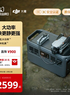 大疆【DJI Power 1000 V2】2600瓦大容量便携220V移动电源露营车载户外应急储能摆摊电池快充大功率磷酸铁锂