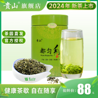 2024新茶贵山都匀毛尖罐装茶叶高山云雾贵州绿茶雨前春茶150g