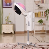 Масляная машина Multifunction Multifunction Computer 03 Ozone Micro -fog Масляная машина 美 新 新 新 新 新 新 新 新 新 新 新 新 新 新 新 新