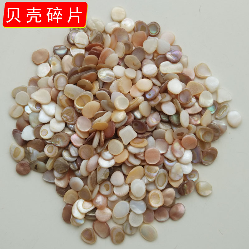 天然淡水贝壳碎石花盆铺垫diy饰品配件鱼缸造景铺垫石头家居装饰