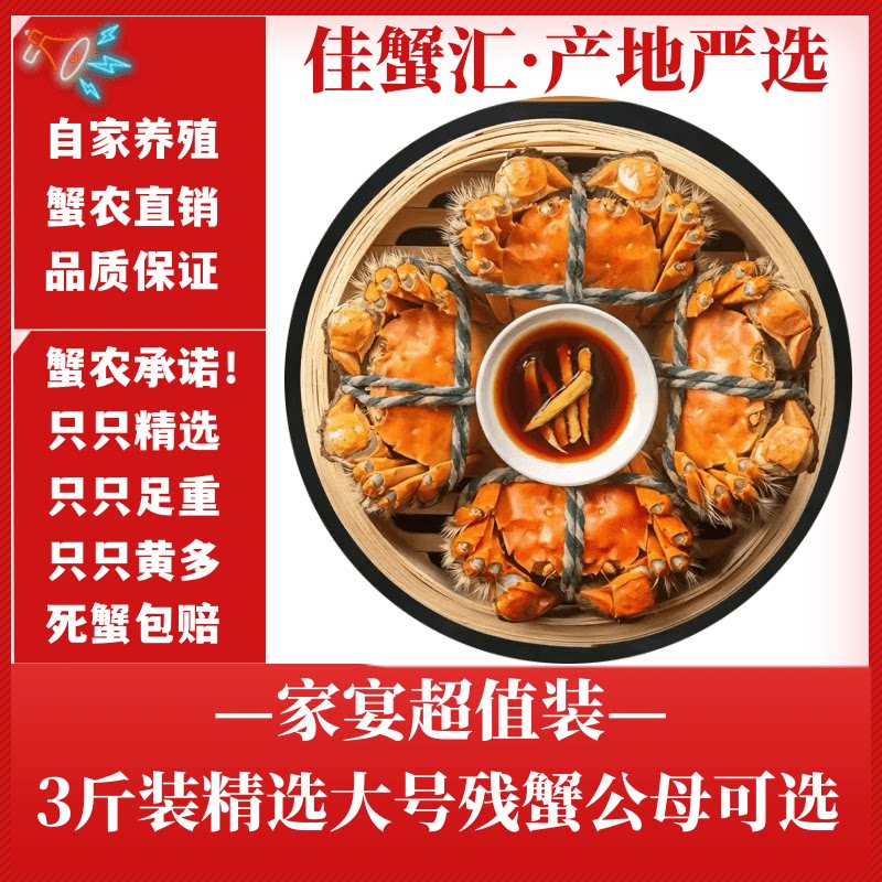 残蟹严选断脚螃蟹鲜活洪泽湖大闸蟹江苏产地蟹农直销精品水产活蟹