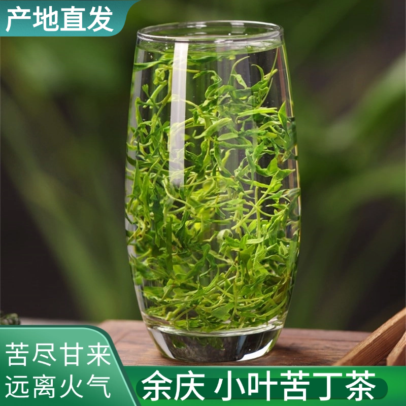 2026新茶余庆小叶苦丁茶嫩芽叶上等正品散装青山绿水贵州特产茶叶