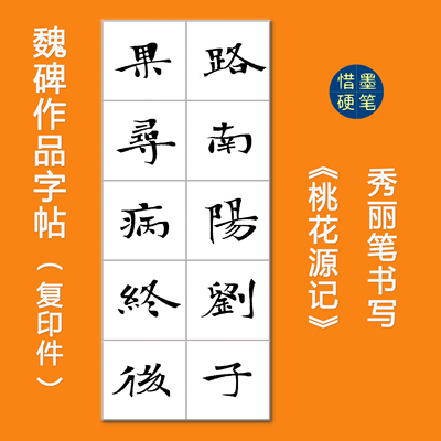 桃花源记魏碑硬笔临摹字帖