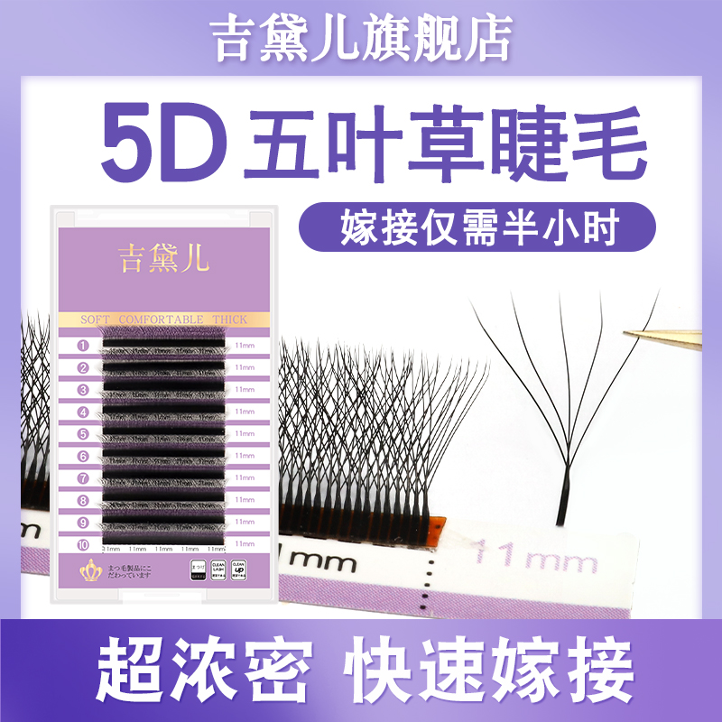 五葉草睫毛5DY型開花自然不散根