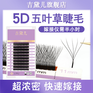 吉黛儿五叶草睫毛5D仙朵一秒开花三叶草四叶草y型自然 美睫店专用