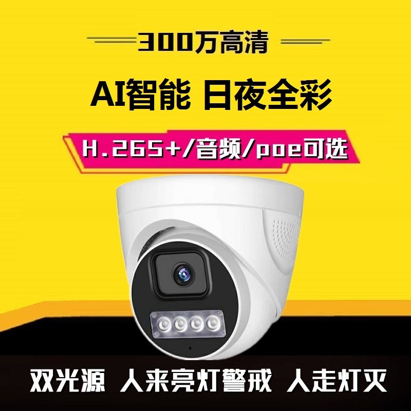 800万半球摄像头 POE网络高清全彩红外音频广角摄像机家用夜视