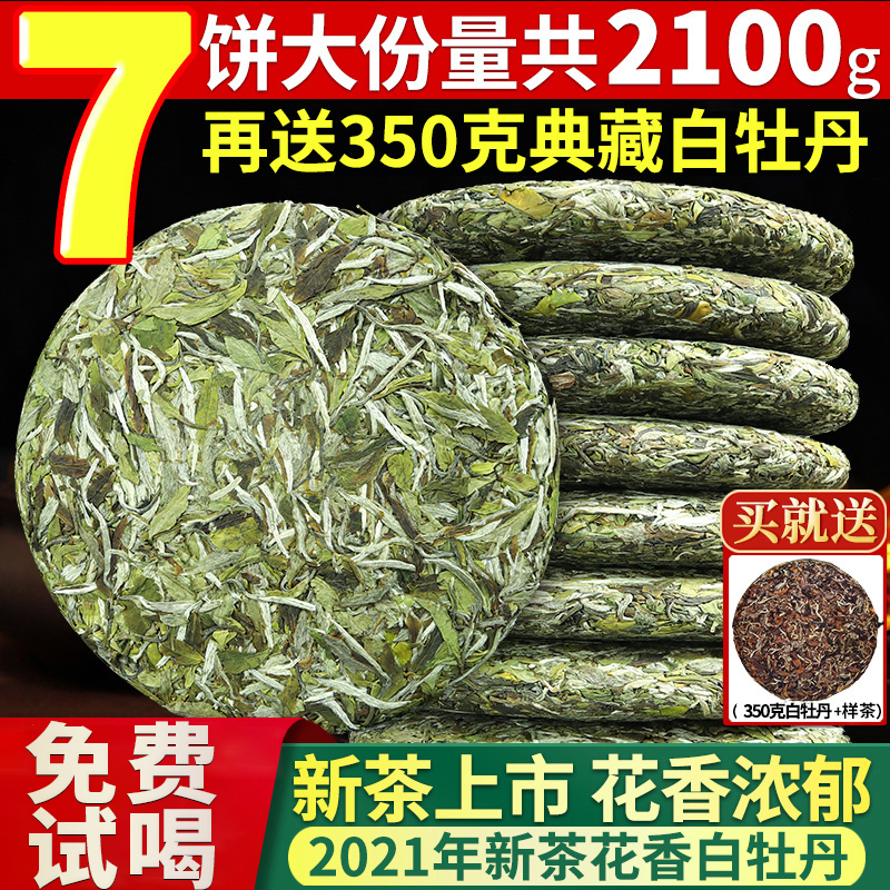2021白牡丹7饼福鼎头春高山荒野