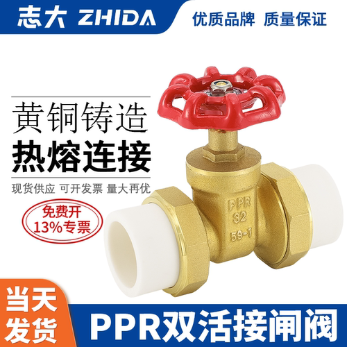 志大PPR双活接闸阀热熔连接
