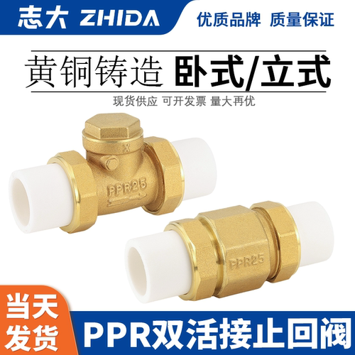 志大PPR止回阀全铜加厚