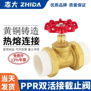 热熔PPR双活接铜截止阀PE水截门开关4分6分自来水管阀门开关配件