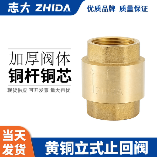 全铜立式志大铜阀门止回阀