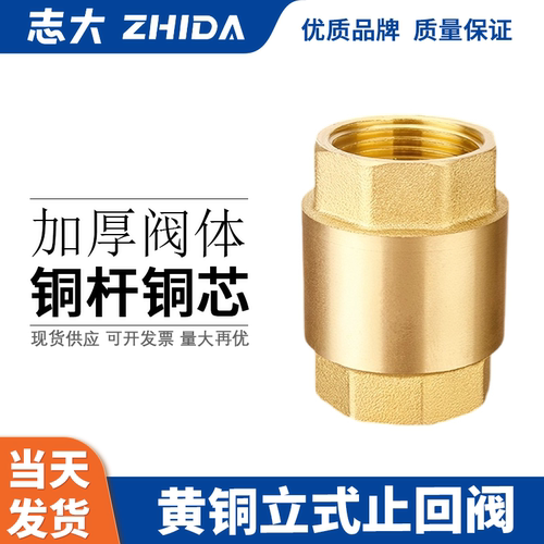 全铜立式志大铜阀门止回阀