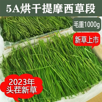 23年新5A烘干提摩西草段干草500g包邮兔子草提草北提龙猫豚鼠牧草