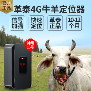 革泰牛羊马定位器卫星北斗gps山区放牧专用防水追踪神器订15号10
