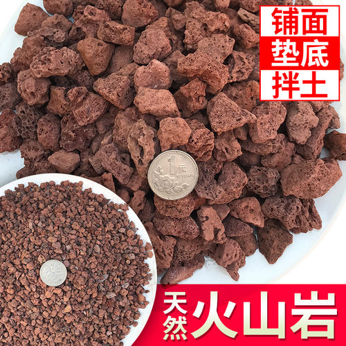火山岩拌土垫底铺面多肉