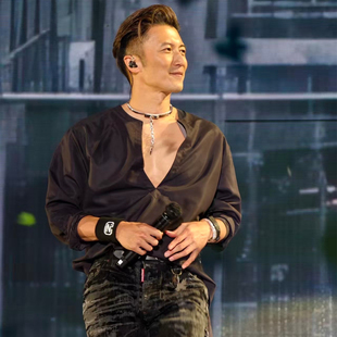 男雅痞风打底长袖 2026谢霆锋同款 衣服进化演唱会evolutionV领衬衫