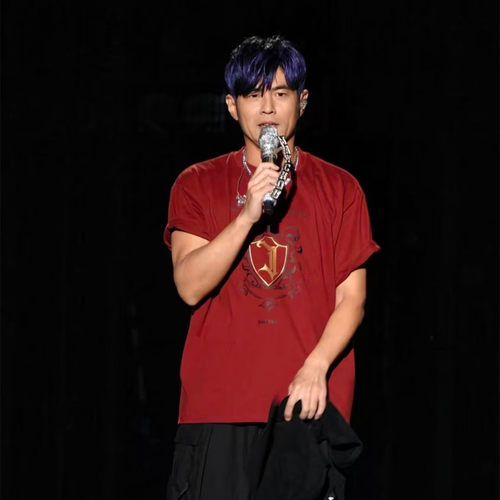 绝迹款武汉红TEE杰伦同款