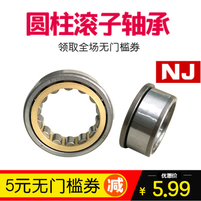 圆柱滚子轴承NJ NU202 203 204 205 206 207 208 209 210 211EM