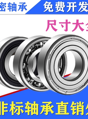 外璧加厚轴承 LR200 201 202  203 204 205 206 207 208 209-2RS