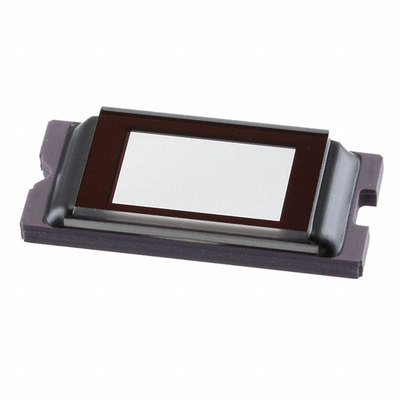 DLP4500AFQE |  DLP660TEAAFYG |  DLPA2000DYFFR