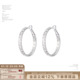 现货 SUMIYAKI锆石微闪大圈耳环耳圈简约大众高级感圆圈耳饰女