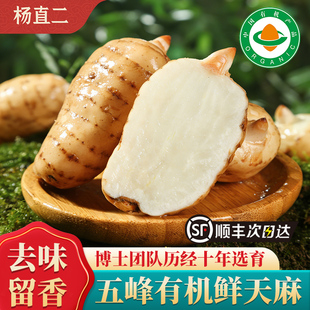 杨直二五峰有机特级新鲜天麻仿野生药膳非中药材正品现挖顺丰礼盒