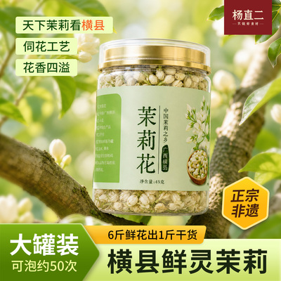头茬横县无硫浓香茉莉花蕾可食