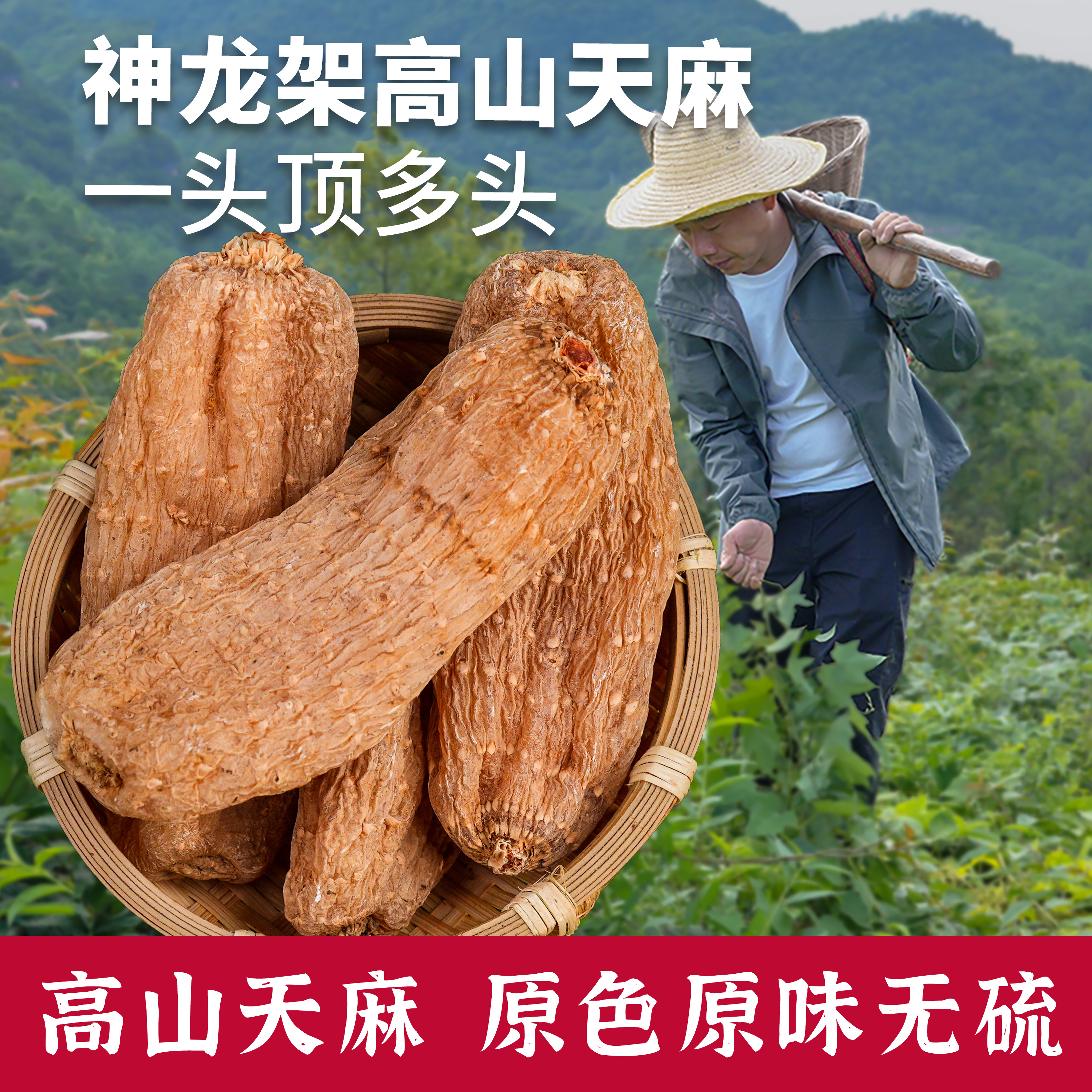 杨直二仿野生天麻干货乌天麻片中药材正品正宗特级切片新鲜泡茶水
