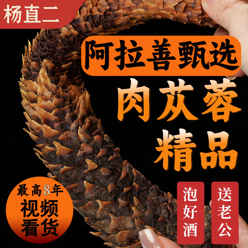 杨直二肉苁蓉中药材正品软性油阿拉善荒漠肉苁蓉官方旗舰整根泡酒