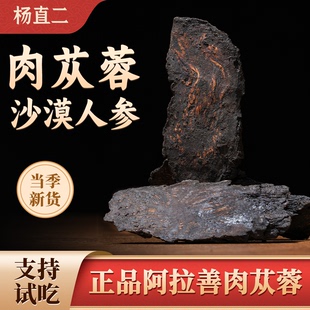 杨直二正宗阿拉善肉苁蓉片100g锁阳内蒙古中药材泡酒煮正品 阿拉善