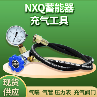 折弯机 泵车 CQJ-25充气 充氮 剪板机 NXQ蓄能器充氮工具 包运价