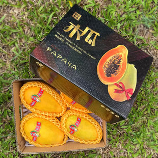 海南红心木瓜礼盒装 8斤树上熟牛奶木瓜下奶产妇 水果5斤 新鲜当季