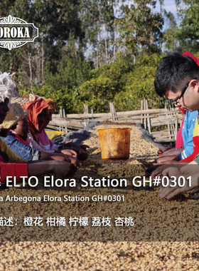 【果卡】2025 埃塞 ELTO 阿贝果娜 ELORA 日晒 手冲单品咖啡豆