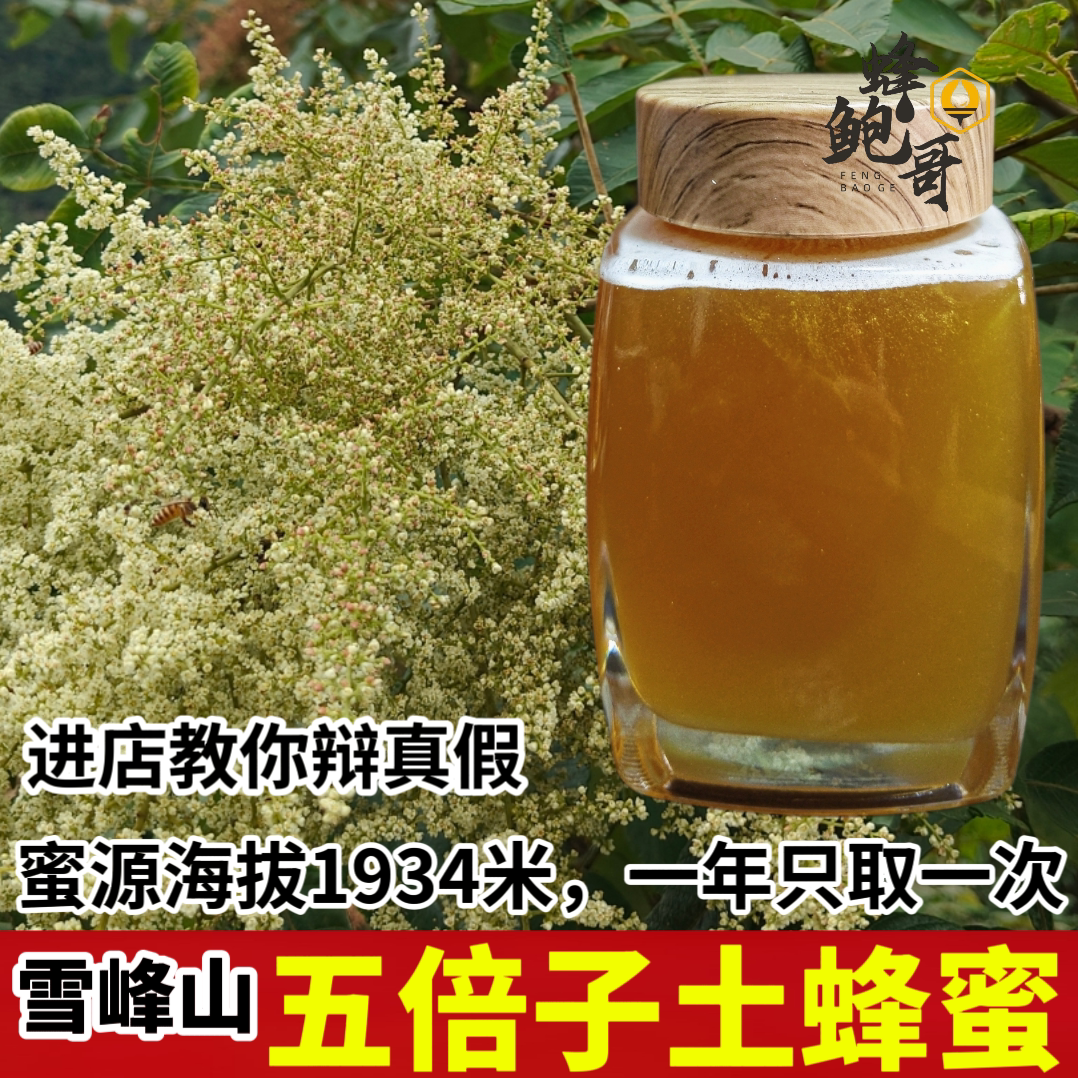 新蜜雪峰山森林野生五倍子土蜂蜜农家纯正天然自然成熟封盖蜜食品