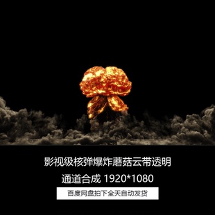 影视级核弹炸弹爆炸蘑菇云带透明通道特效合成视频素材