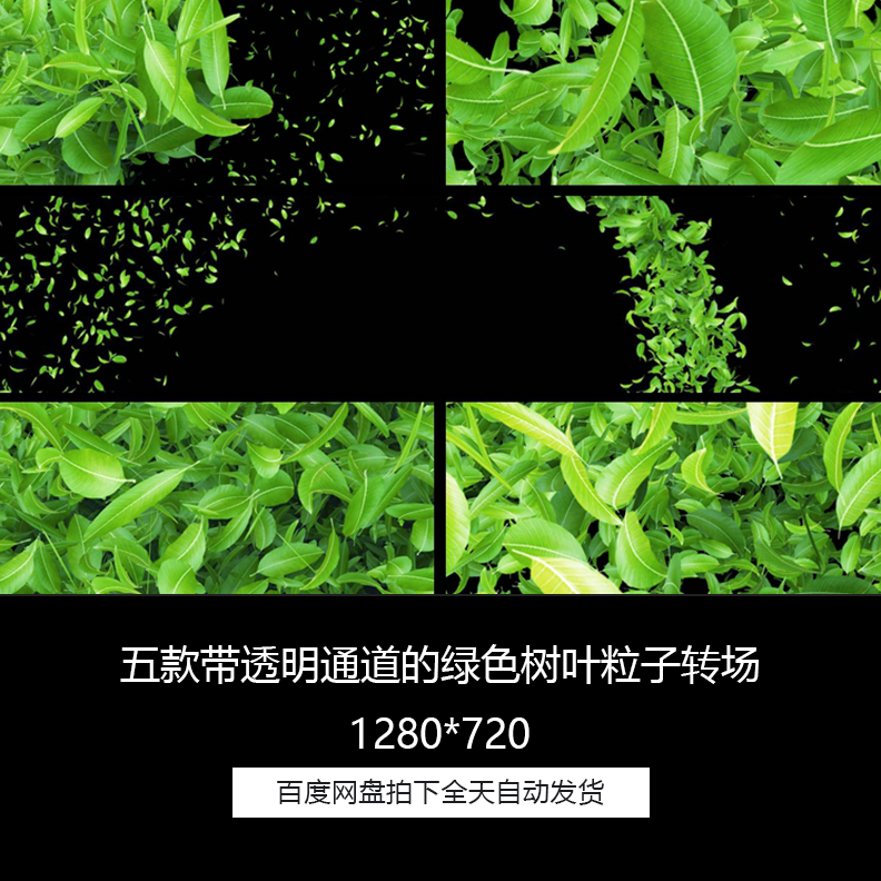 绿色树叶茶叶叶子划屏转场透明通道5合1特效合成视频素材合集包