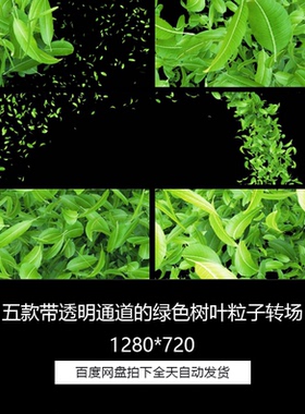 绿色树叶茶叶叶子划屏转场透明通道5合1特效合成视频素材合集包