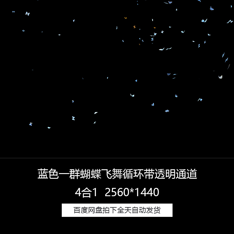蓝色蝴蝶一群蝴蝶群飞飞舞循环带透明通道4合1高清视频素材合集包