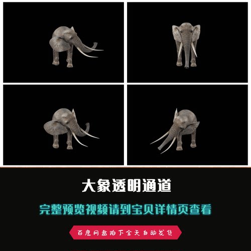 大象带alpha透明通道影视特效合成视频素材