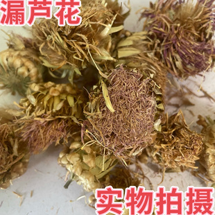 中药材漏芦花漏卢花干货漏芦花莱芙蓉新货正品500克包邮