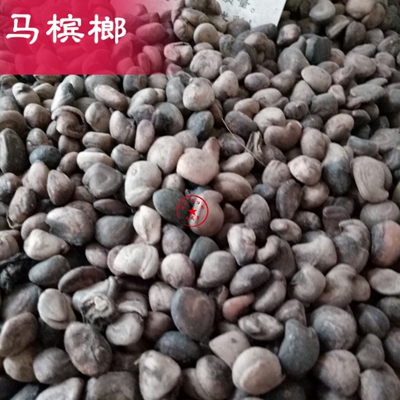 中药材 马槟榔500克 屈头鸡 马金南山槟榔 水鸡头 水鸡仔