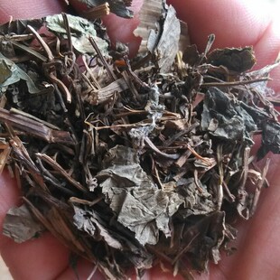 中药材合掌消 神仙对坐草500克35元包邮